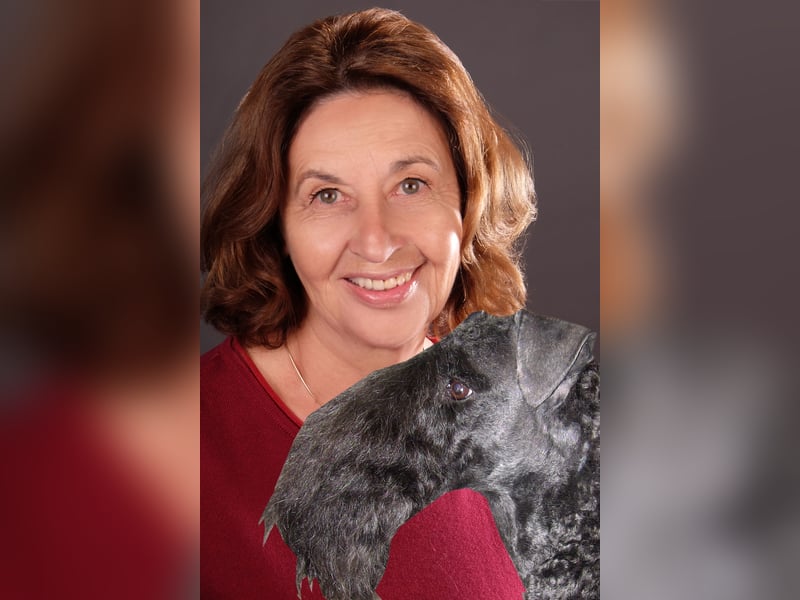 Kerry Blue Terrier Welpen – kleine Kunstwerke auf vier Pfoten suchen ihr Für-immer-Zuhause