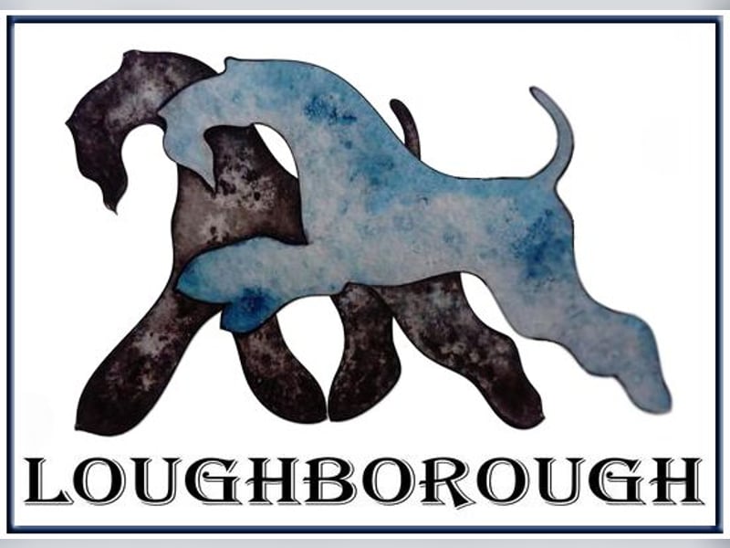 Kerry Blue Terrier Welpen – kleine Kunstwerke auf vier Pfoten suchen ihr Für-immer-Zuhause