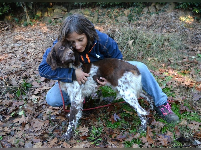 Mottle - Dein Freund fürs Leben
