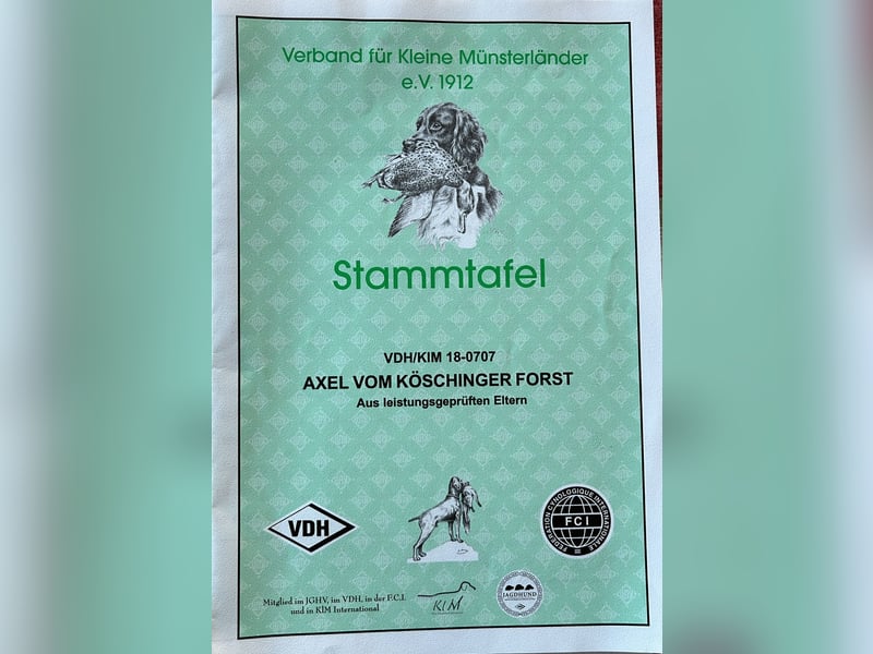 Wurfankündigung KLM