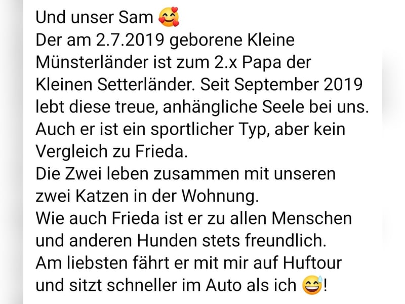 Poldi Kleiner Stterländer