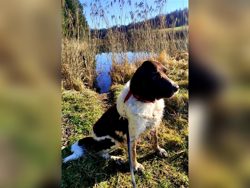 Der liebenswerte Flori