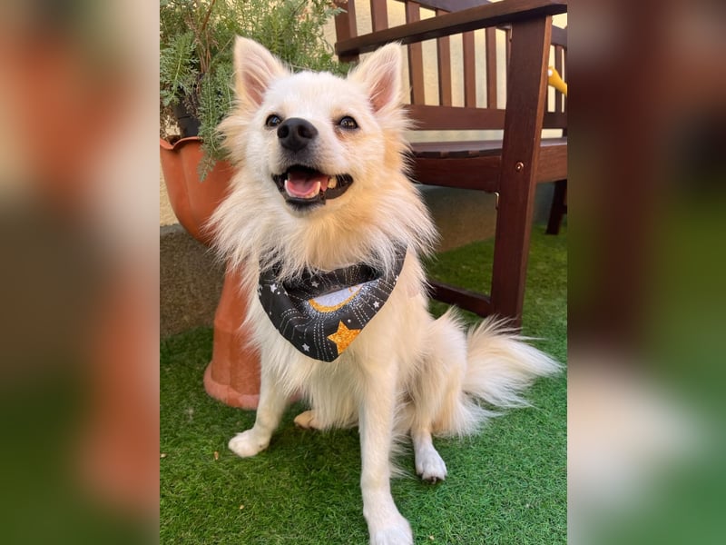 Fröhlicher Jeremy sucht seine Menschen fürs Leben Fröhlicher Jeremy sucht seine Menschen fürs Leben