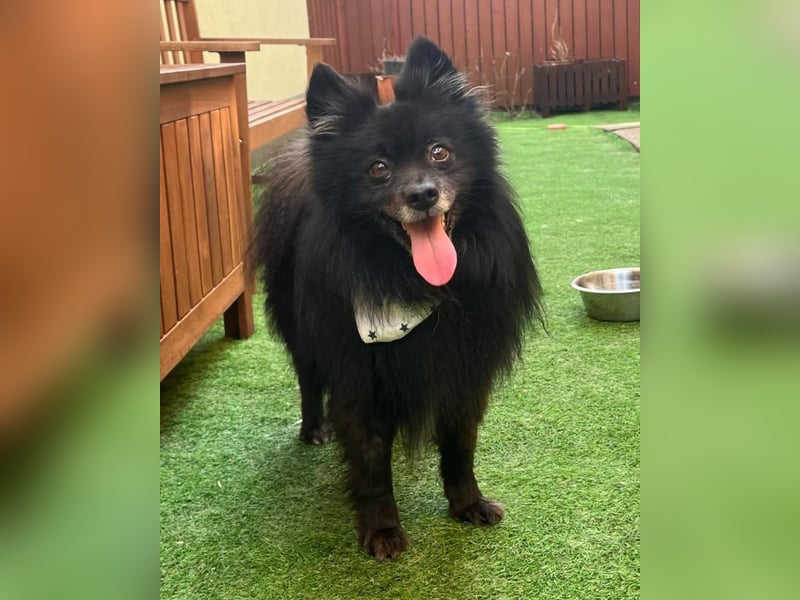 Casper SR, sein Name ist Programm