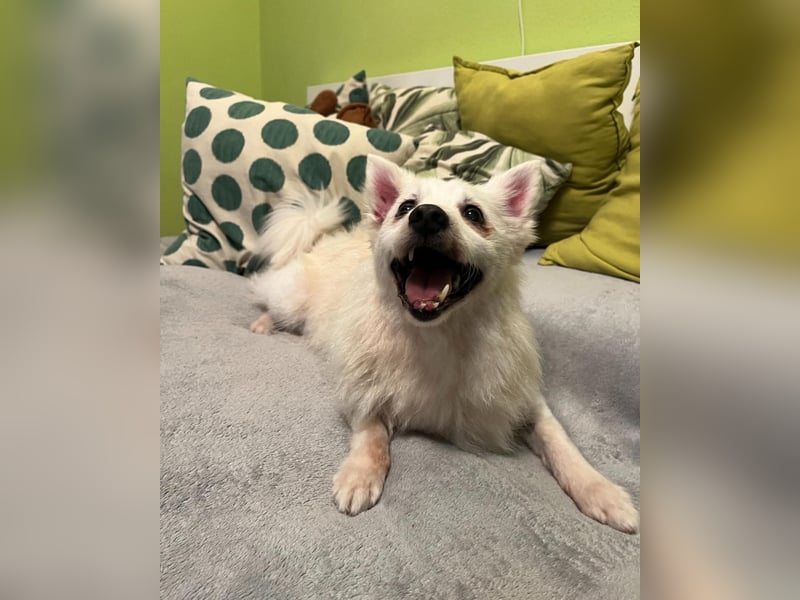 Rosie SR, super süß und freundlich Rosie SR, super süß und freundlich