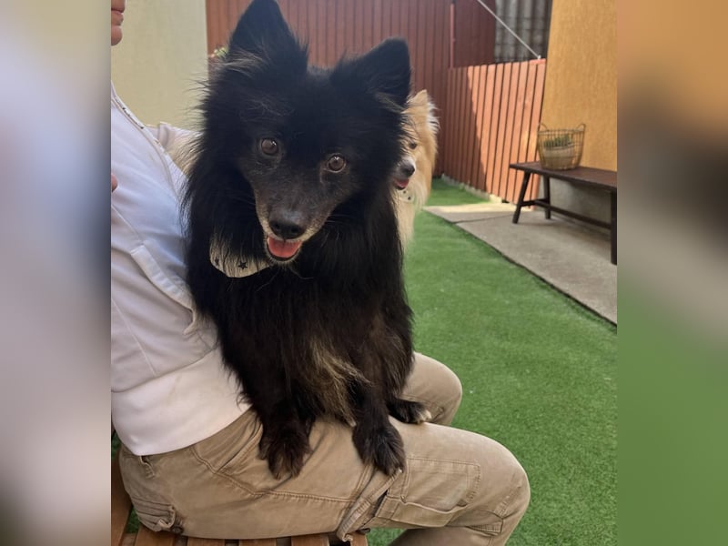 Casper SR, sein Name ist Programm