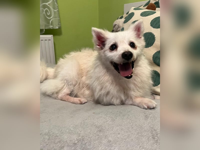 Rosie SR, super süß und freundlich Rosie SR, super süß und freundlich