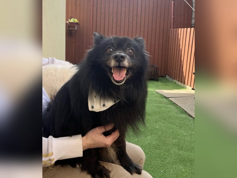 Casper SR, sein Name ist Programm