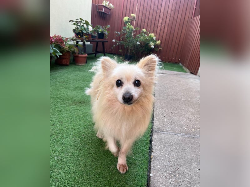 Lucky SR, freundlich, ruhig, entspannt