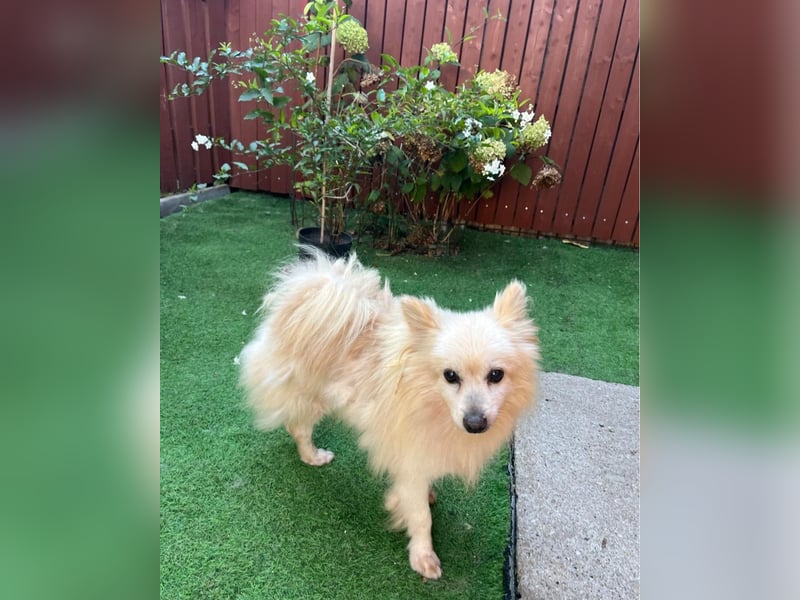 Lucky SR, freundlich, ruhig, entspannt