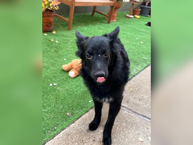 Fiona SR– Kleine Entdeckerin sucht liebevolles Zuhause