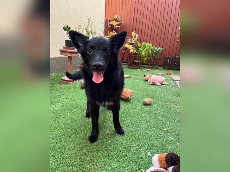Fiona SR– Kleine Entdeckerin sucht liebevolles Zuhause
