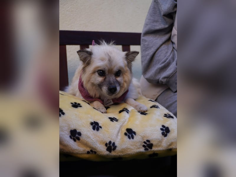 Grace - still und schüchtern
