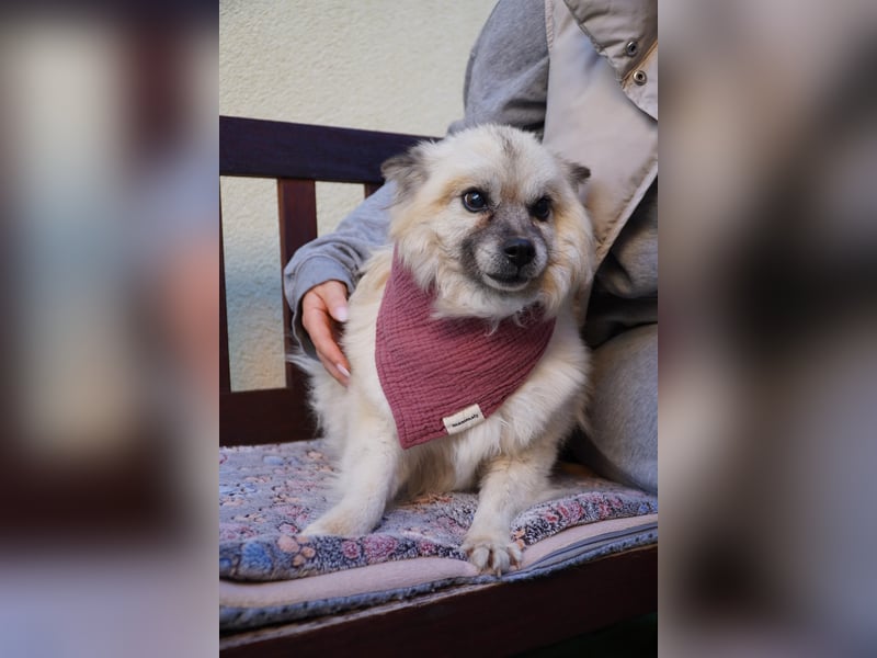 Grace - still und schüchtern