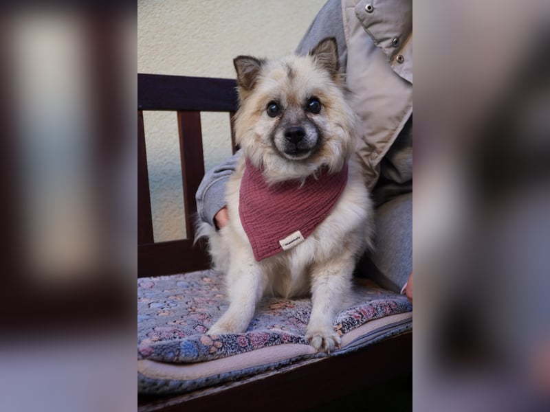 Grace - still und schüchtern