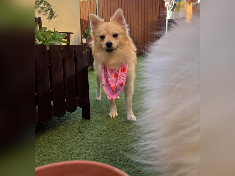 Hella möchte zur Ruhe kommen
