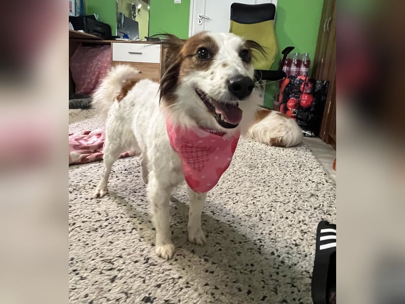 Malia - freundlich, verspielt