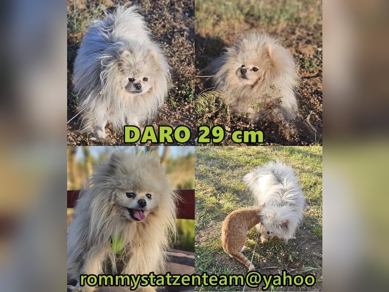 Daro möchte noch vieles lernen