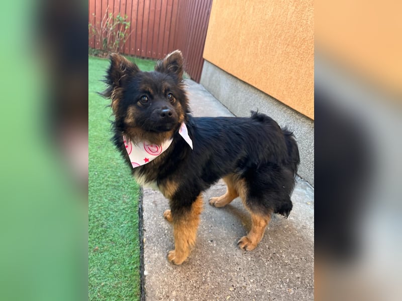 Hope SR - aufgeschlossen, nett 