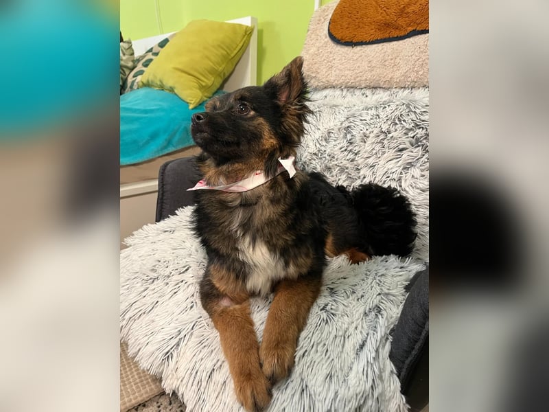 Hope SR - aufgeschlossen, nett 