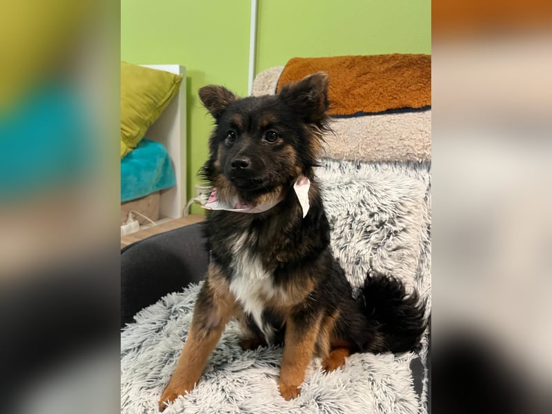 Hope SR - aufgeschlossen, nett 