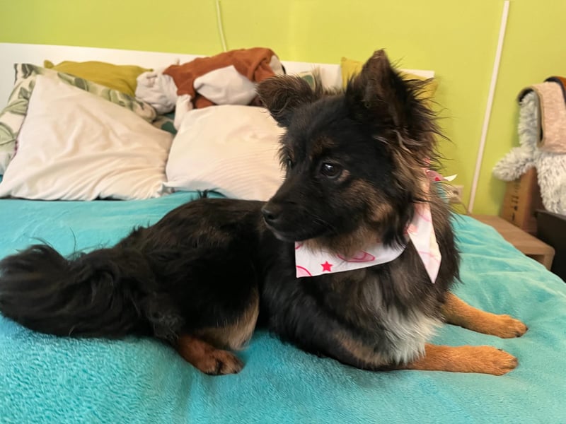 Hope SR - aufgeschlossen, nett 