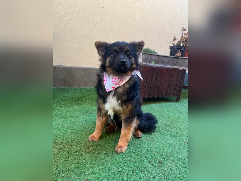 Hope SR - aufgeschlossen, nett 