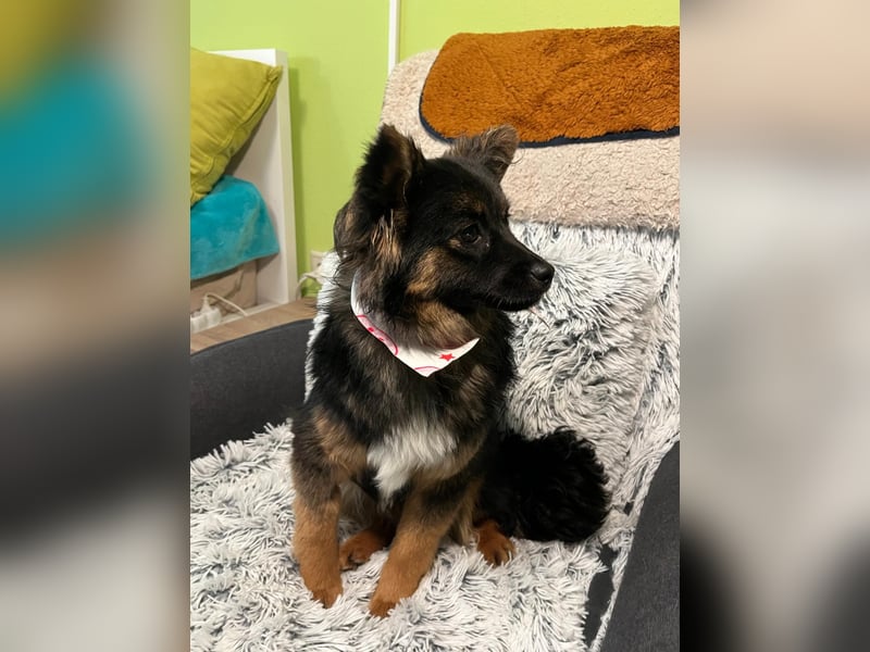 Hope SR - aufgeschlossen, nett 