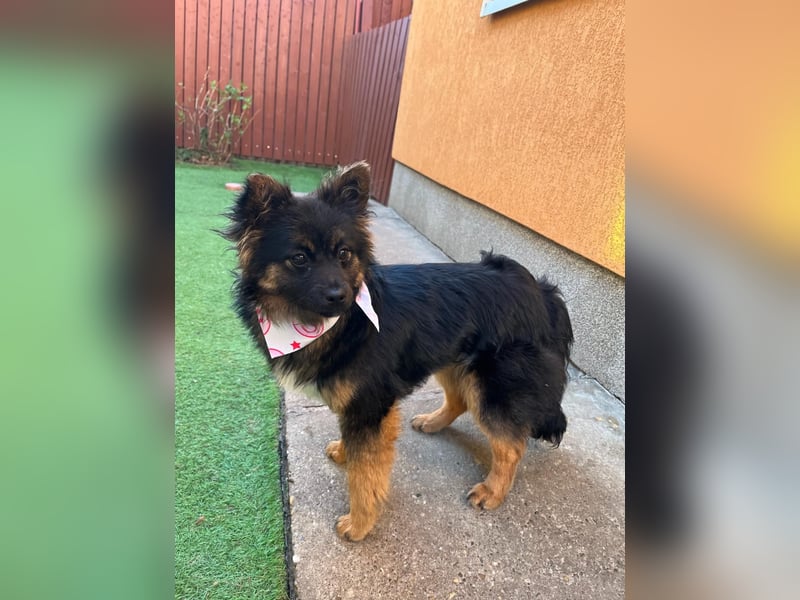 Hope SR - aufgeschlossen, nett 