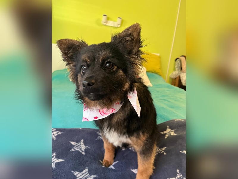 Hope SR - aufgeschlossen, nett 