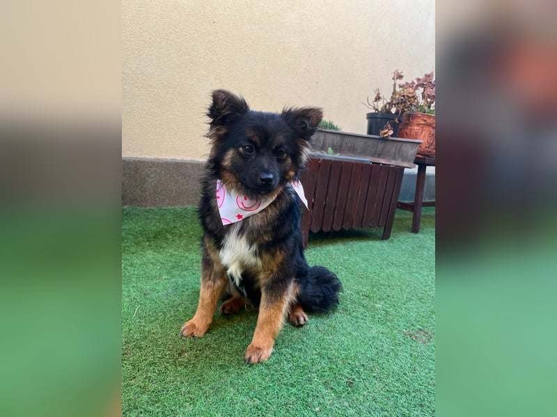 Hope SR - aufgeschlossen, nett 