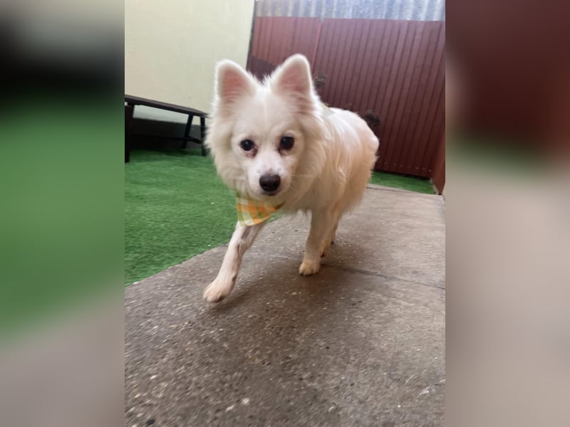 Opi Fritz wünscht sich Menschen mit Herz