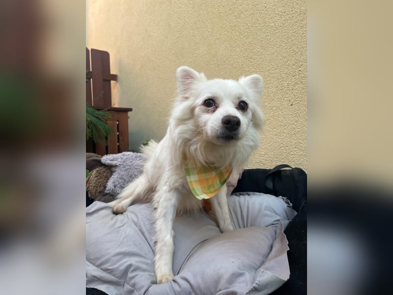 Opi Fritz wünscht sich Menschen mit Herz
