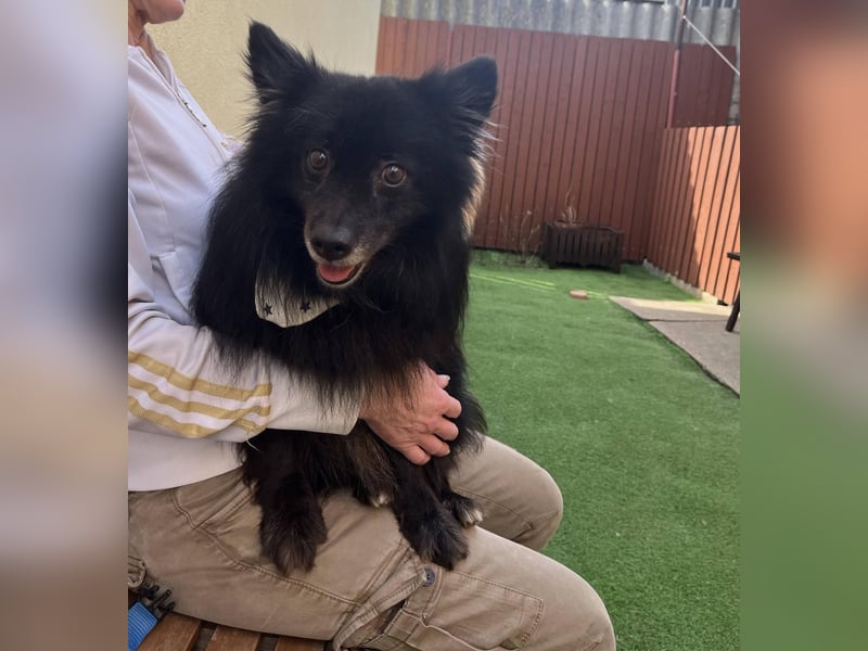 Casper SR – Kleine Maus sucht Herzensmenschen