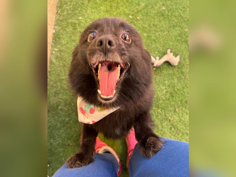 Mable SR- dominant, freundlich