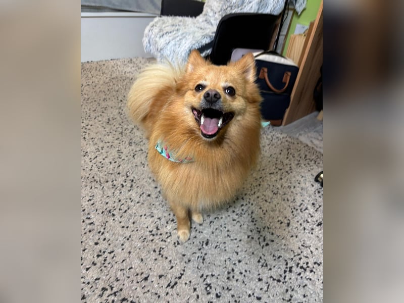 Milou SR - freundlich, aufgeschlossen 