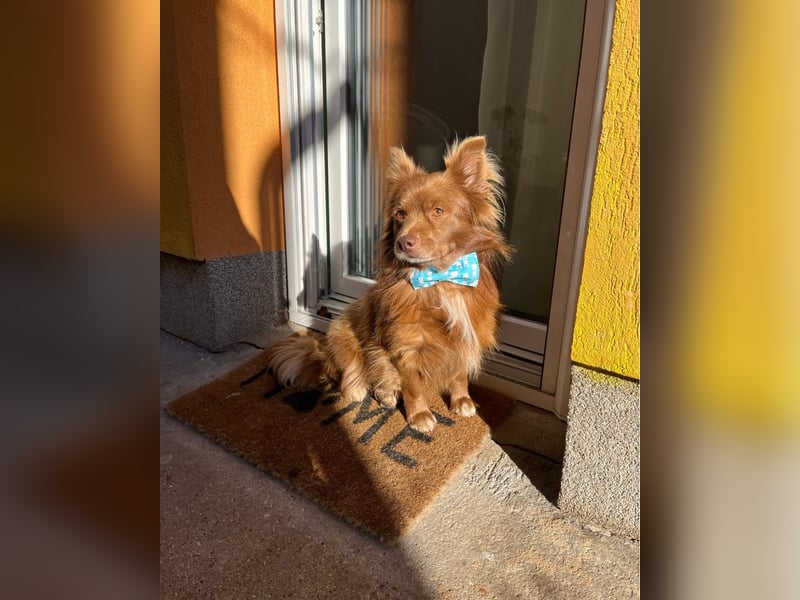 Timon SR - freundlich, gutherzig