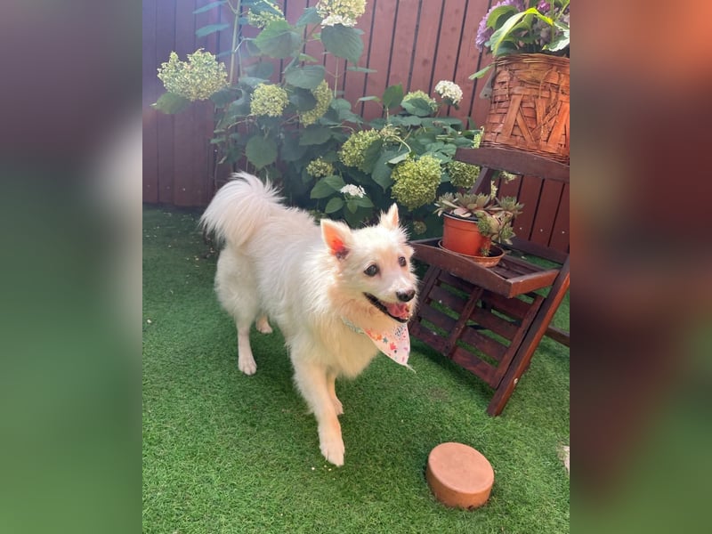 Rosie SR, super süß und freundlich