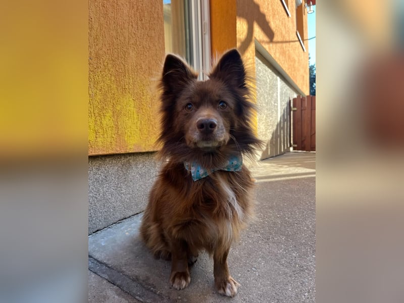 Timon SR - freundlich, gutherzig