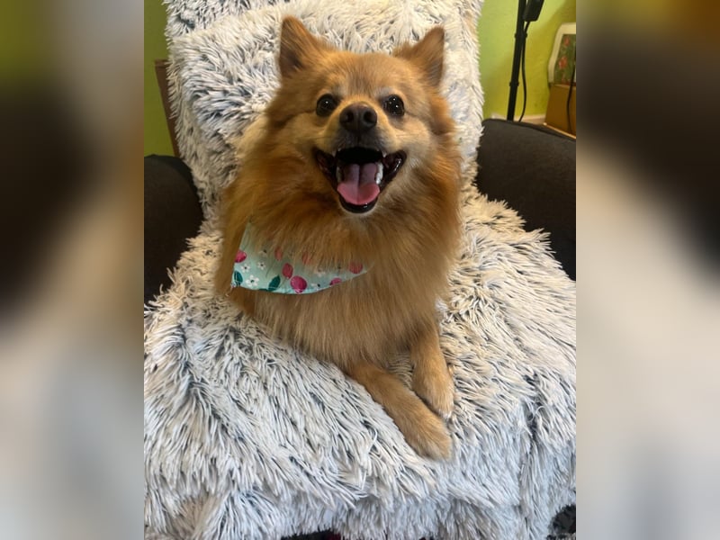 Milou SR - freundlich, aufgeschlossen 