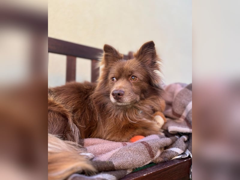 Timon SR - freundlich, gutherzig