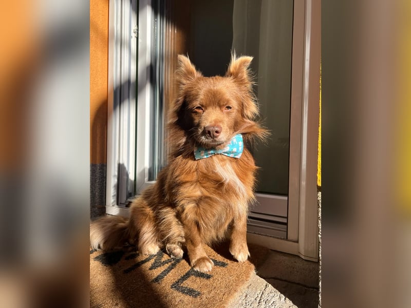 Timon SR - freundlich, gutherzig