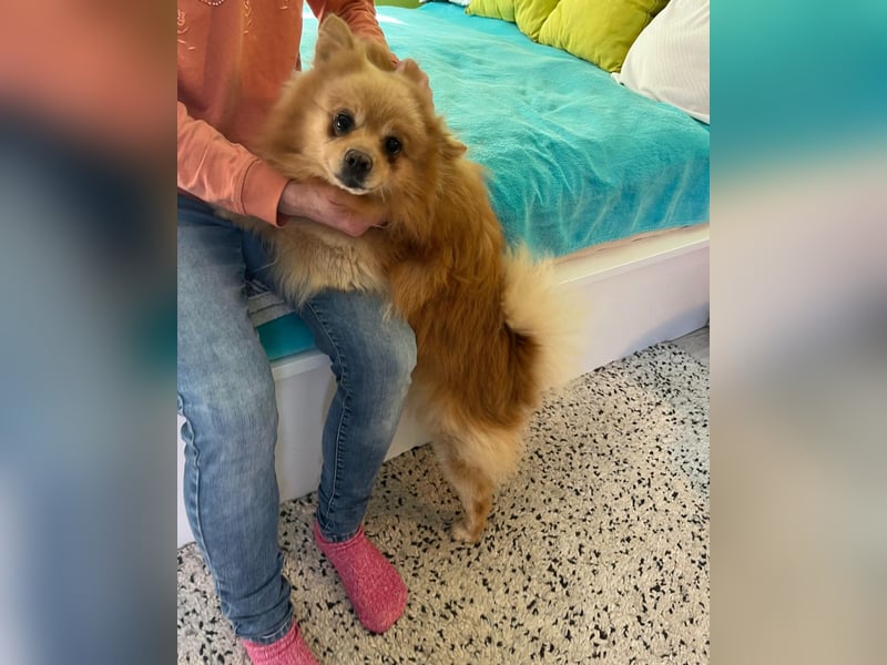 Peanut SR - freundlich, anfangs schüchtern