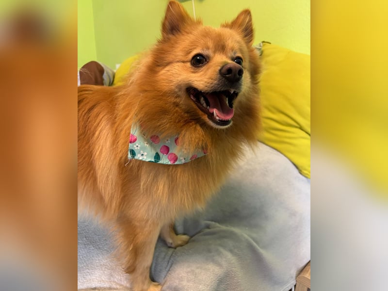 Milou SR - freundlich, aufgeschlossen 