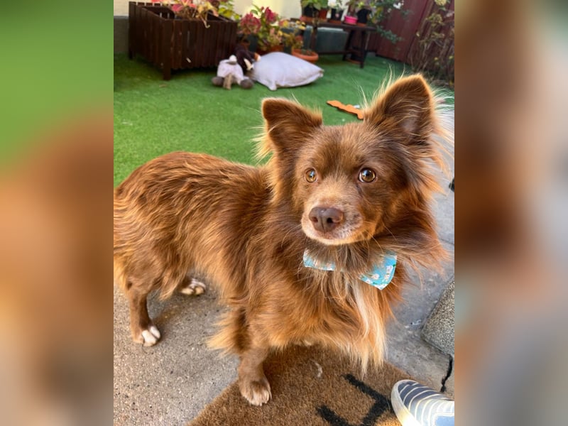 Timon SR - freundlich, gutherzig