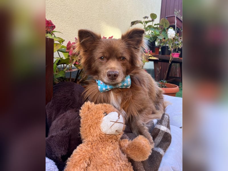 Timon SR - freundlich, gutherzig