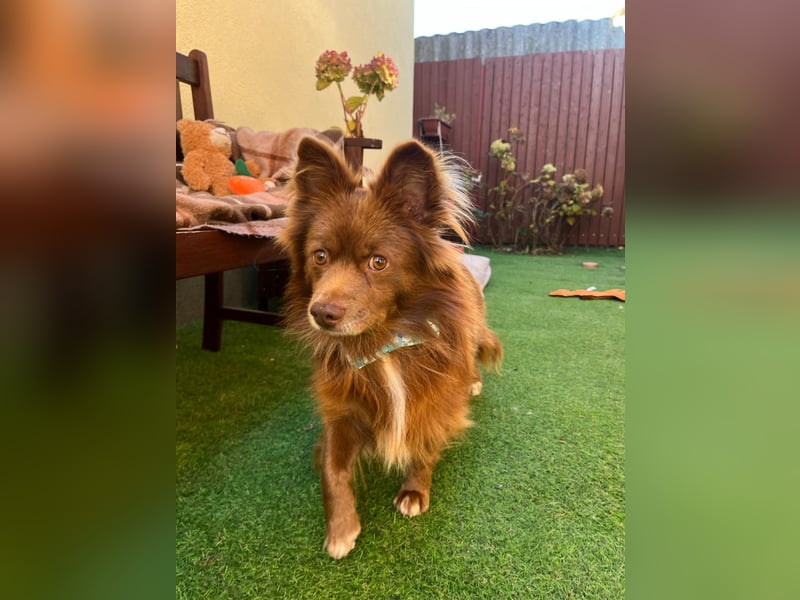 Timon SR - freundlich, gutherzig