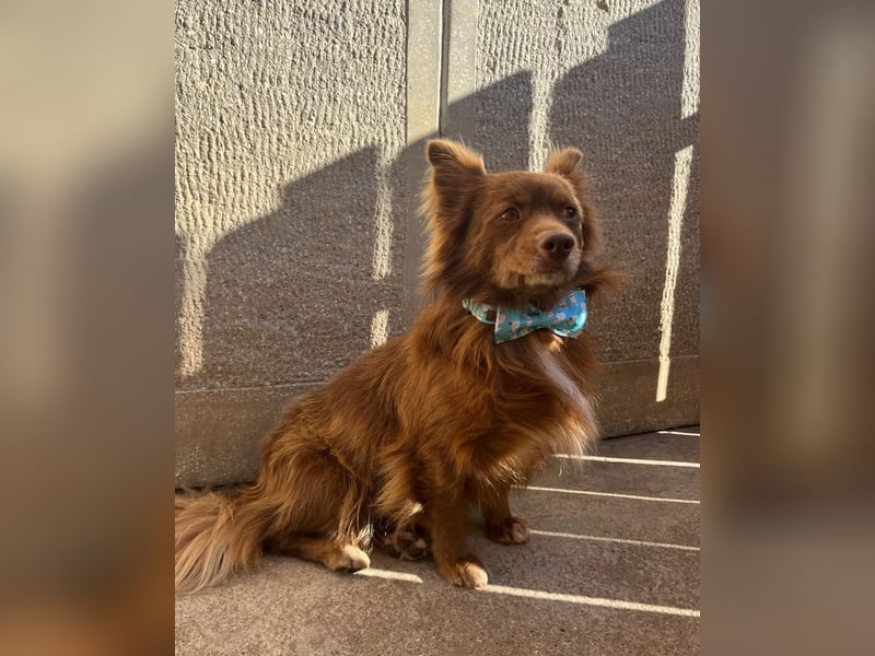 Timon SR - freundlich, gutherzig