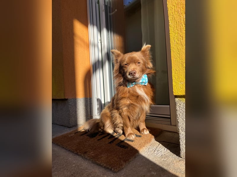 Timon SR - freundlich, gutherzig