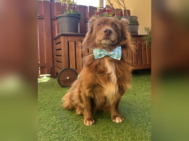 Timon SR - freundlich, gutherzig